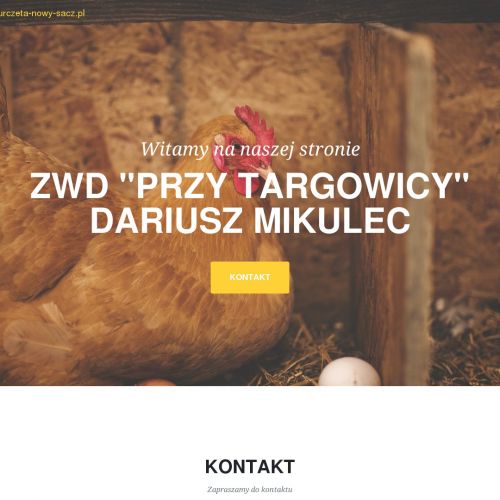 Nowy Sącz - kury