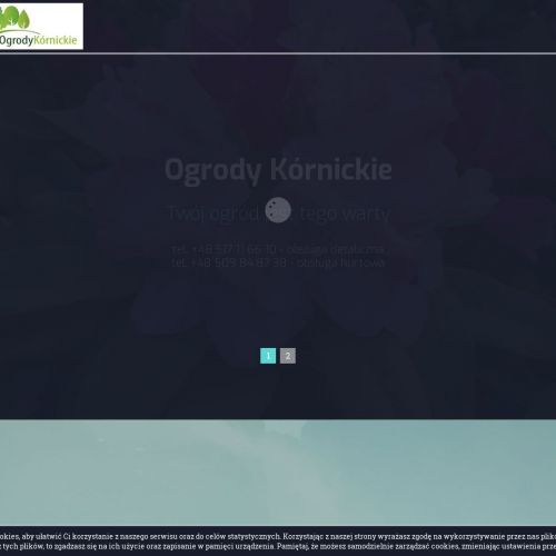 Tuje szmaragd w Poznaniu