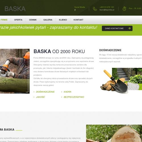 Przycinanie drzew śląsk w Dąbrowie Górniczej