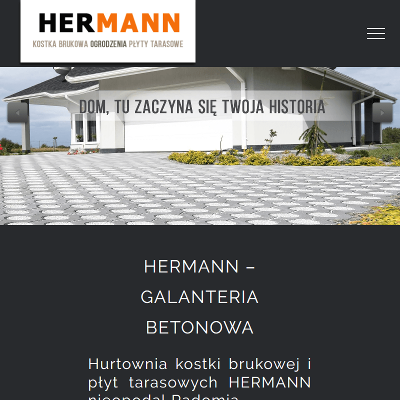 Radom - kostki brukowe