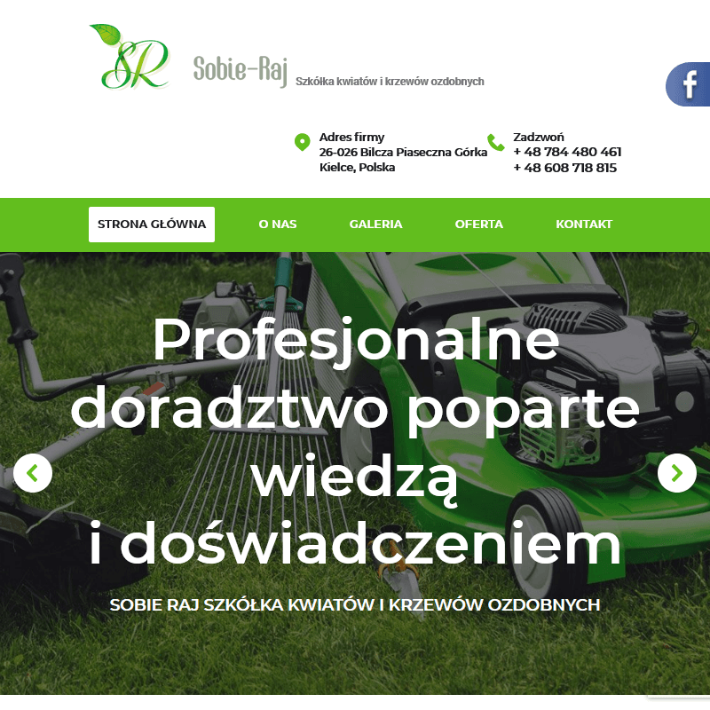 Sprzedaż drzew ozdobnych